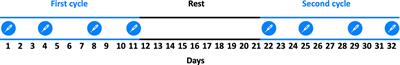 Clinical Experience of Proteasome Inhibitor Bortezomib Regarding Efficacy and Safety in Severe Systemic Lupus Erythematosus: A Nationwide Study